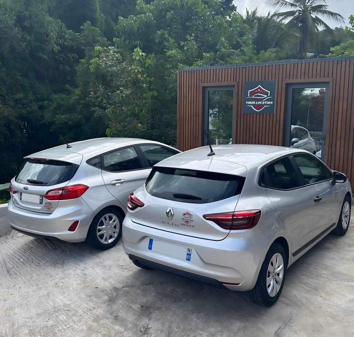 Location de voiture pour entreprise Martinique